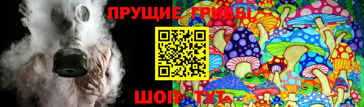 Галлюциногенные грибы ЛСД  Галлюциногенные грибы ЛСД  Вход с VPN  Тихорецк 