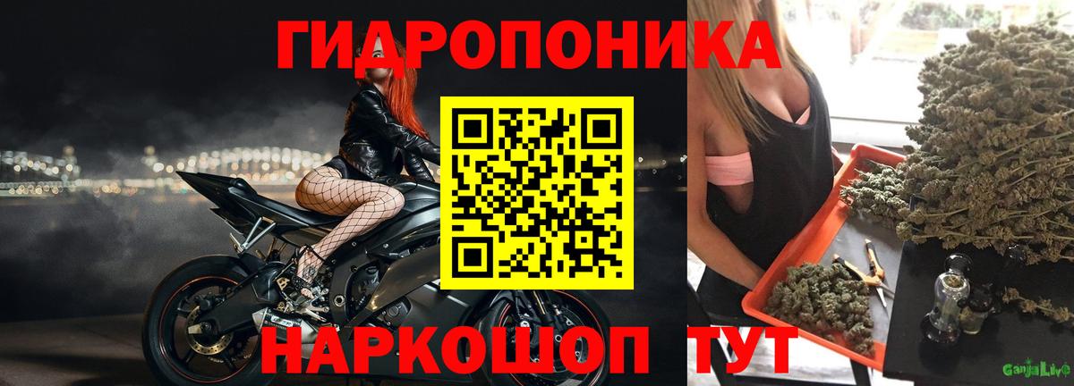 Бошки марихуана VHQ Тихорецк